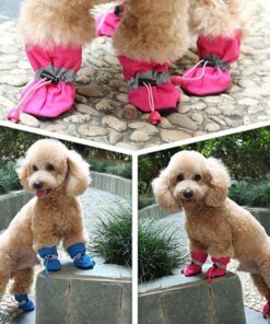 Waterproof Dog Shoes
