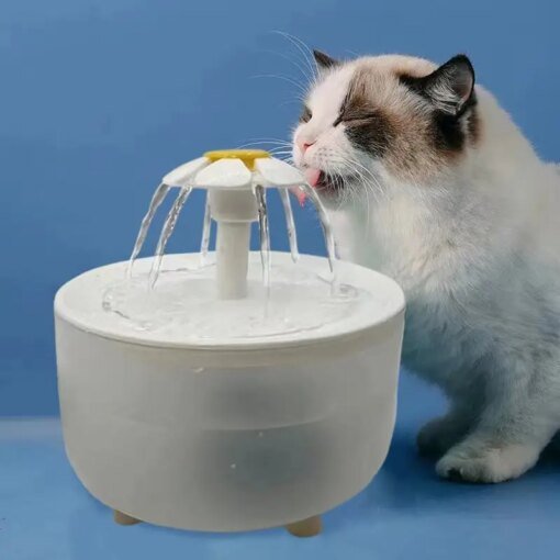 Dogs Water Fountain